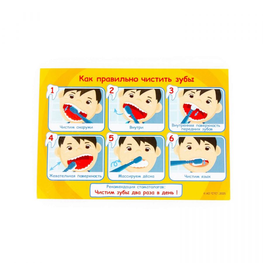 Набор "Три Кота" "Стоматолог" (15 элементов) (в чемоданчике)