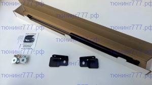 Амортизаторы (упоры) капота, комплект на ТрейлБлейзер