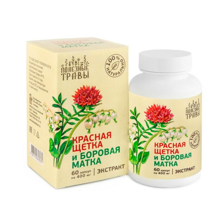 Красная щетка и боровая матка