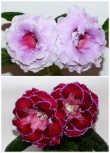 ЕН-Розовый Парафин/ЕН-Секрет Нефертити