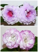 ЕН-Розовый Парафин/ЕН-Иней на Ресницах