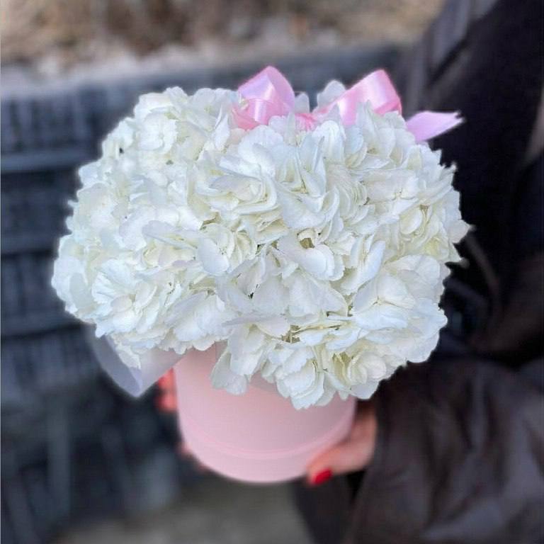 Белая гортензия в коробке