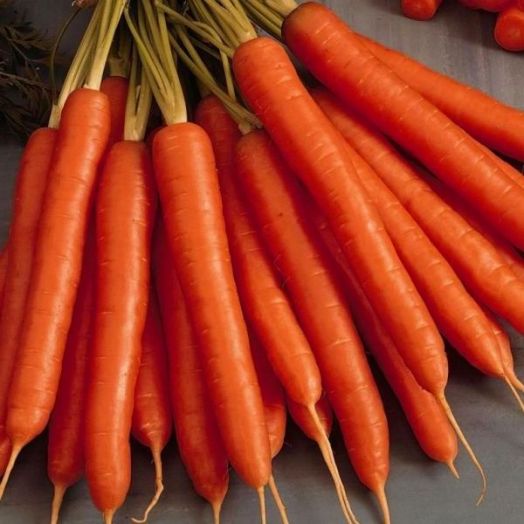 Морковь АМСТЕРДАМСКАЯ, 100г семян