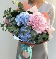 Гортензия микс в красивой упаковке