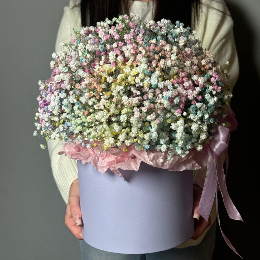 Радужная гипсофила в коробке XL