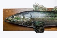 Судак - эксклюзивный настенный декор