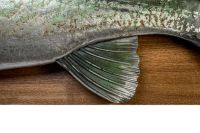 Судак - эксклюзивный настенный декор