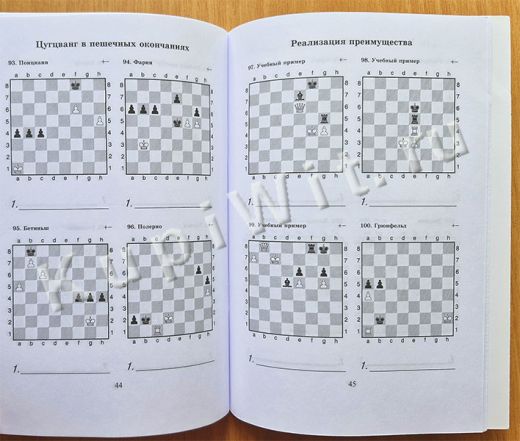 Шахматы-пешечные окончания