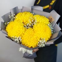 Букет из крупных желтых хризантем и гипсофилы