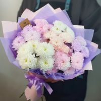 7 нежных пушистых хризантем