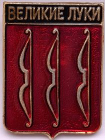 Значок герб Великие Луки Россия