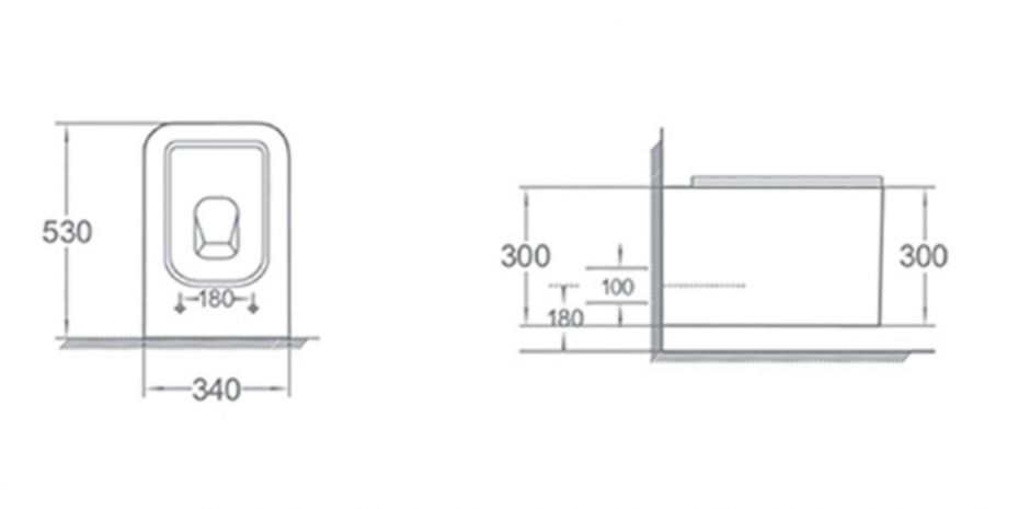 Унитаз подвесной с крышкой Boheme Mane 970-SET ФОТО