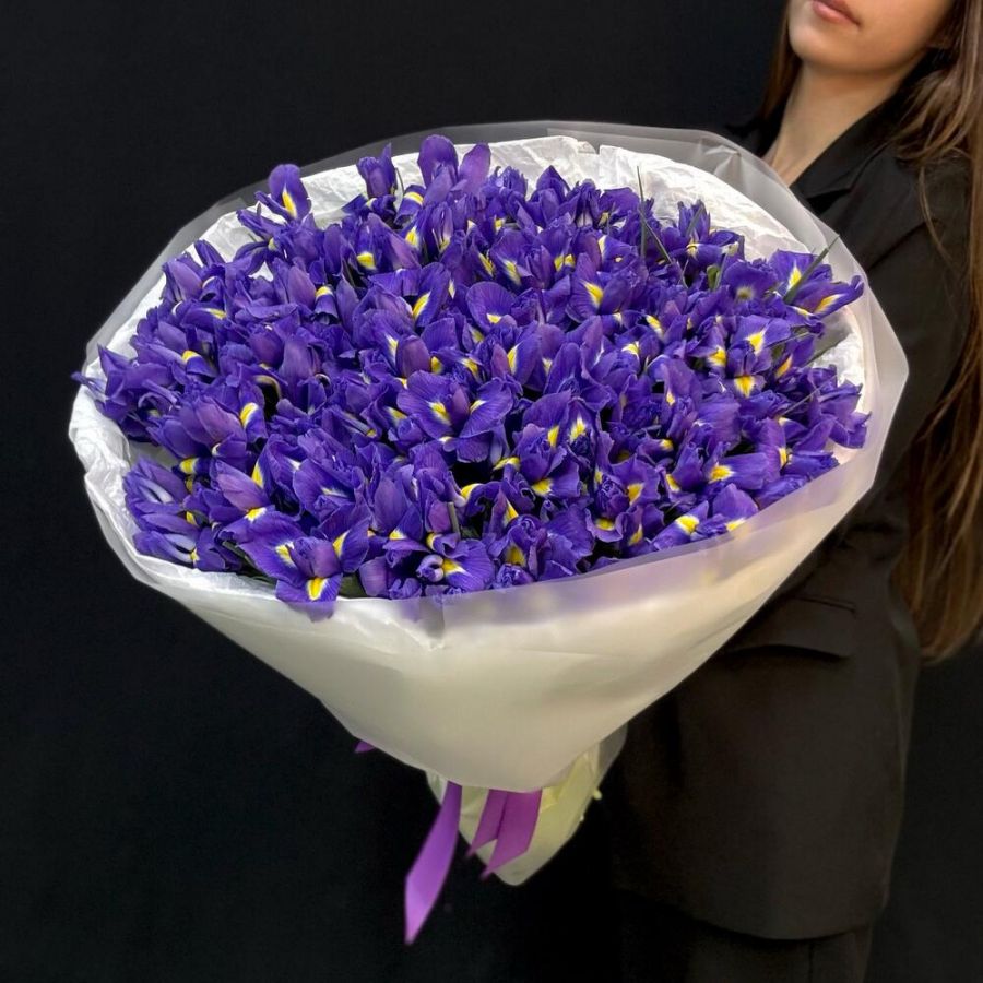 Букет 101 ирис