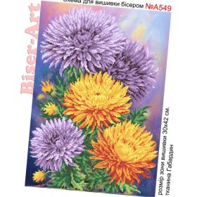 А549 Biser-Art. Астры