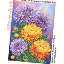А549 Biser-Art. Астры