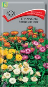 Гелихризум Низкорослая смесь, 0,1 г (Поиск)