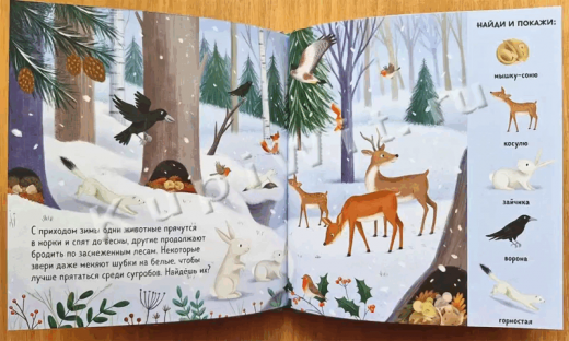 Игра - найти животных в лесу GF