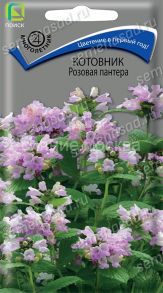 Котовник Розовая пантера, 10 шт (Поиск)