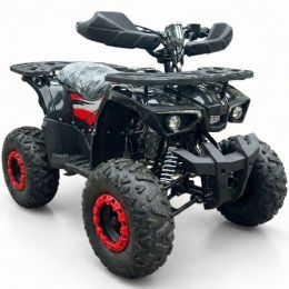 PULSE ATV 110