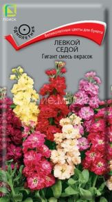 Левкой седой Гигант смесь окрасок, 0,1 г (Поиск)
