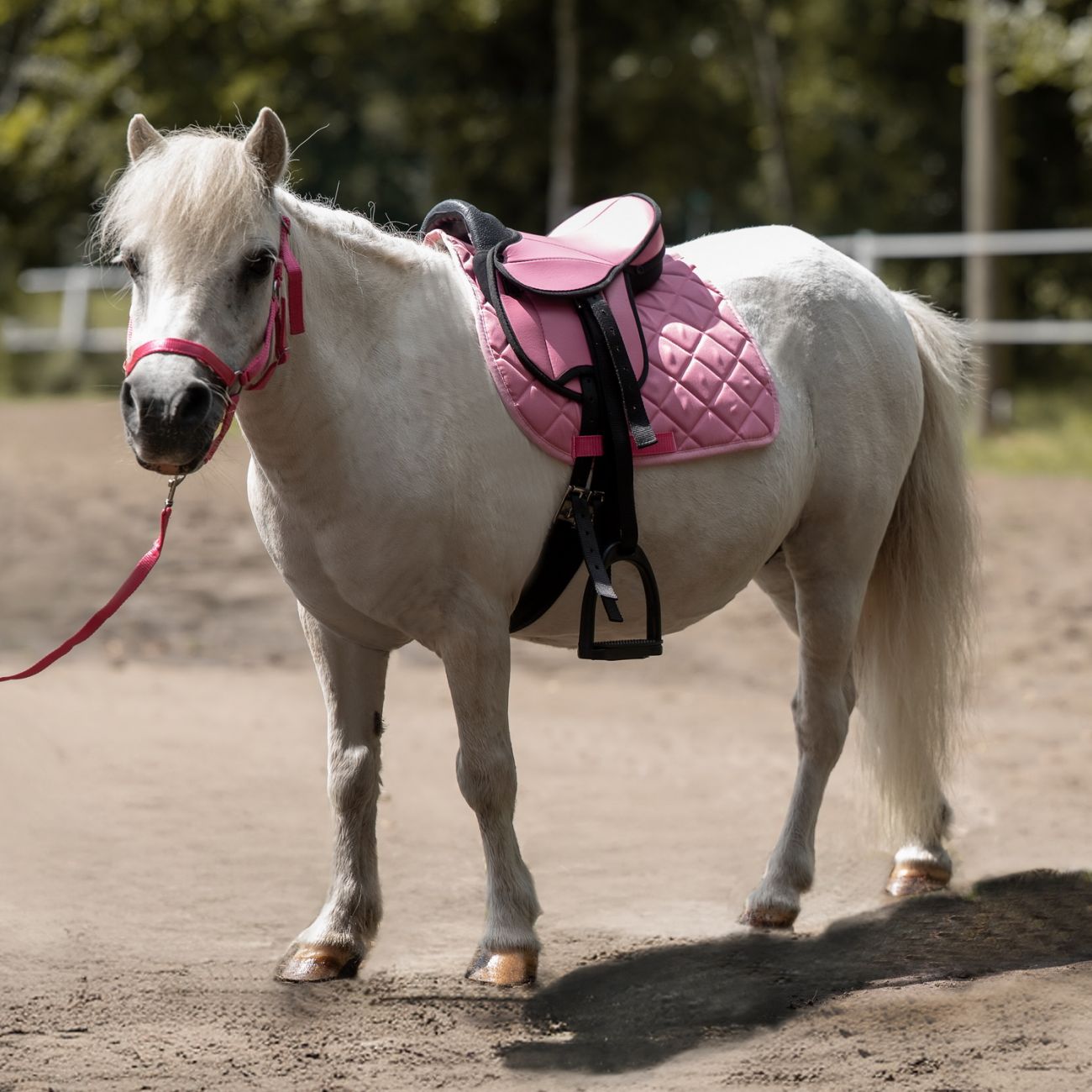 Седло в сборе на шетти -Lucy- HKM