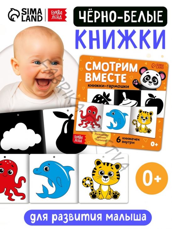 Книжки - гармошки картонные «Смотрим вместе», набор 6 шт.