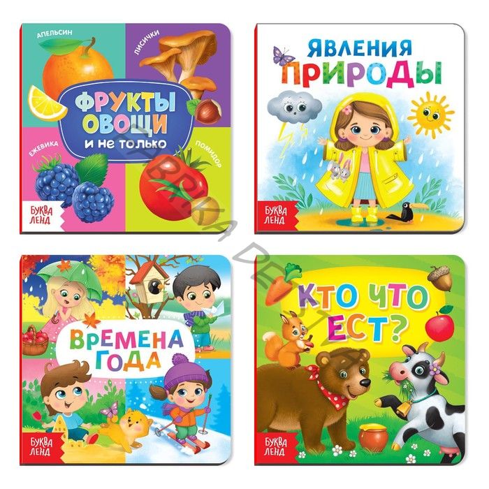 Книги картонные «Знакомимся с окружающим миром», набор 4 шт. по 10 стр.