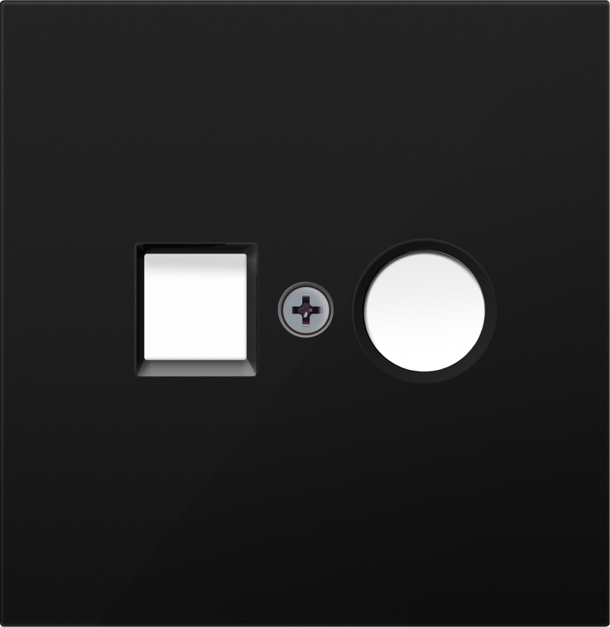 Накладка для розеток RJ45+SAT, 2-я, матовый карбон, серия R98