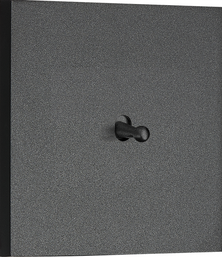 Переключатель на 1 тумблер, каплевидный, 10AX 250V, черный, серия N96