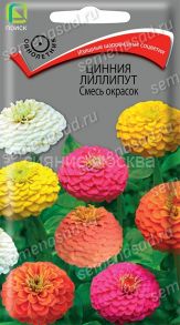 Цинния лиллипут Смесь окрасок, 0,4 г (Поиск)