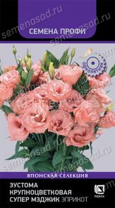 Эустома крупноцветковая Супер Мэджик Эприкот, 5 шт (Поиск)