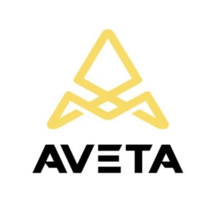 Aveta Motors (готовая краска)