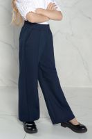 Брюки школьные Blue Premium [синий]