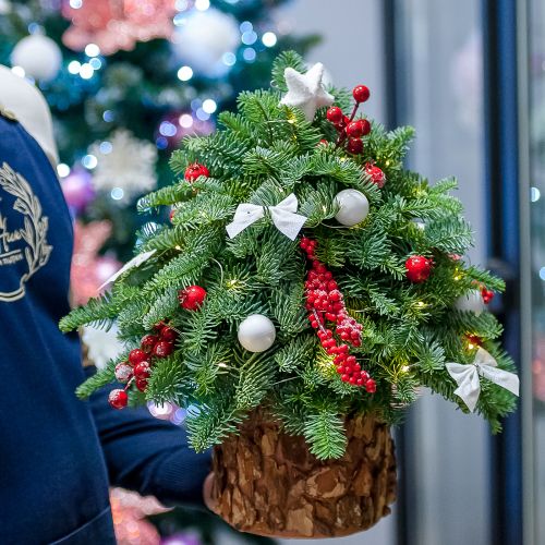 Елка из нобилиса в шляпной коробке