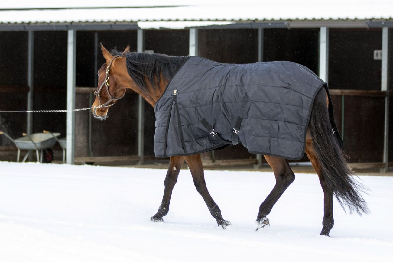 Денниковая попона  "LARI", верх 420 ДЕН, наполнитель 100 гр, нейлоновая подкладка.