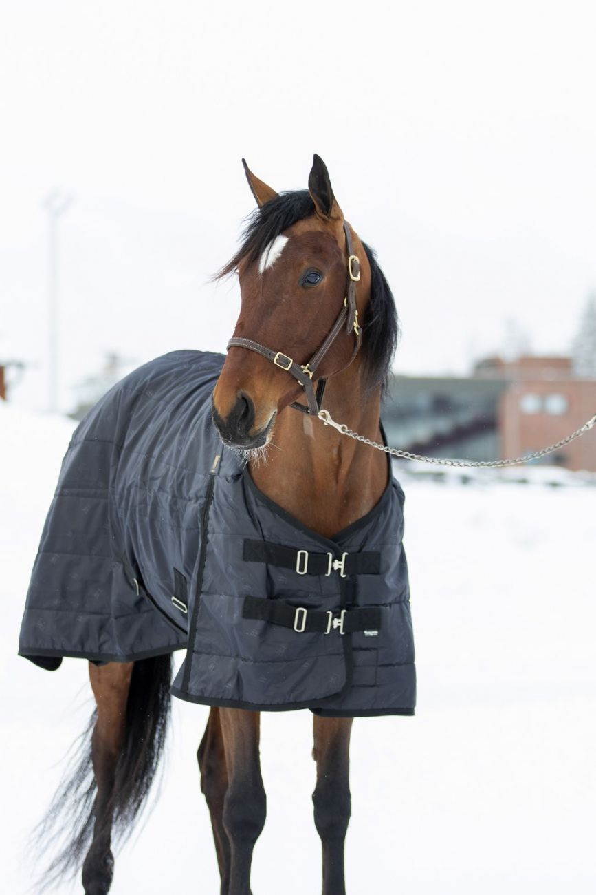 Денниковая попона  "LARA", верх 420 ДЕН, наполнитель 200 гр, нейлоновая подкладка.