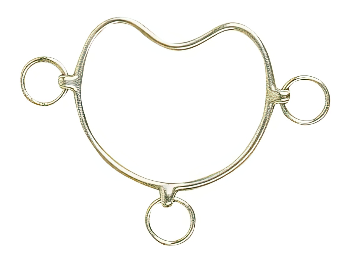 Выводковое железо (Шифни).