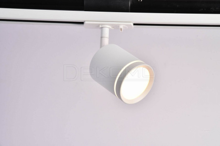 Светильник на штанге Orlo TR085-1-5W3K-W