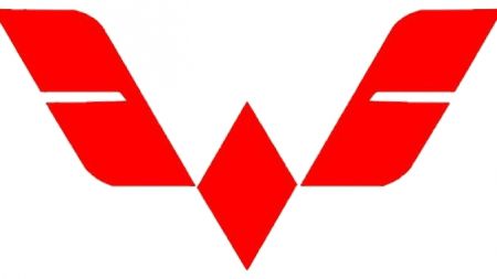 Wuling (краска в баллонах)