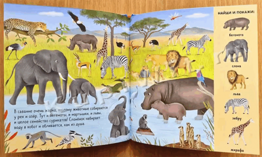 Покажи животных со всего мира GIF