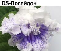 DS-Посейдон