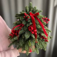 Ёлочка красная