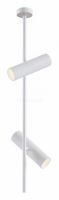 Светильник на штанге Elti C021CL-02W