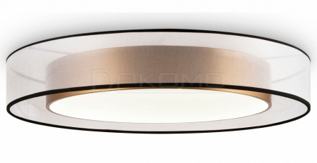 Накладной светильник Zoticus FR6005CL-L48G