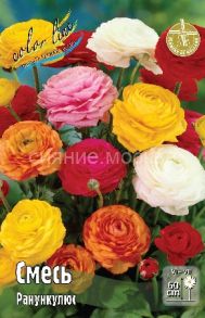 Ранункулюс смесь, 6/7, 10 шт., Колорлайн