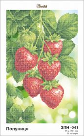 ЗПН-041 Золотая Подкова. Клубника