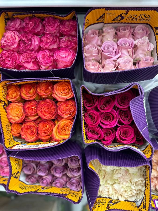 Роза микс 50 см