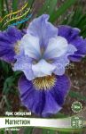IRIS-SIBIRSKIJ-MAGNeTIZM-Magnetism-1-sht-Flora-Selekt