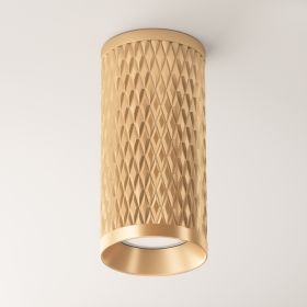 Потолочный светильник Technical C036CL-01G