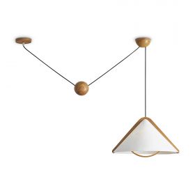 Потолочный светильник Freya FR5554CL-01T